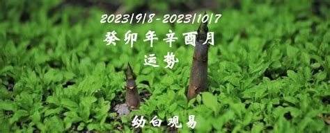 癸卯年辛酉月|20230905